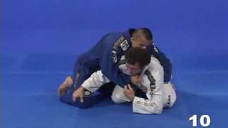 Eduardo Telles Turtle & Octopus Guard Instructional DVDs