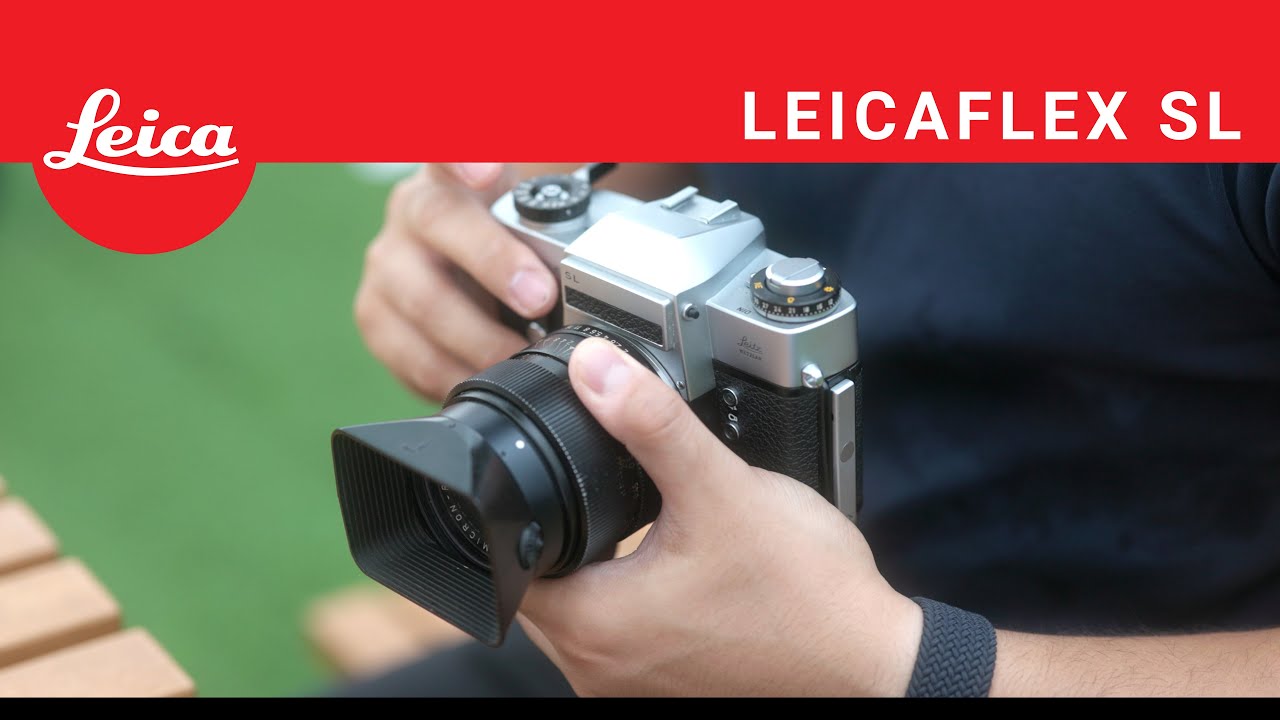 Canon shooter tries LEICA: Leicaflex SL + SUMMICRON 35MM F2.0