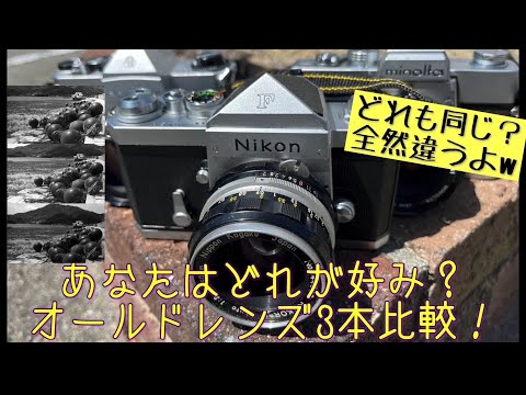 Film SLR] Comparing photos taken with three old lenses 😲 Which is