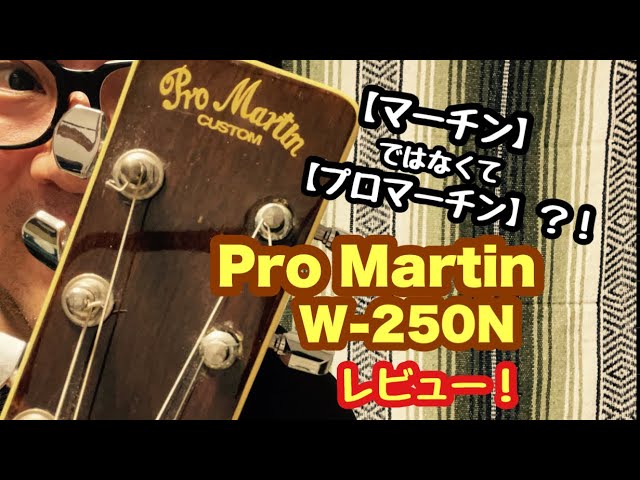 ビンテージギター【Pro Martin W-250 N】レビュー アコースティック