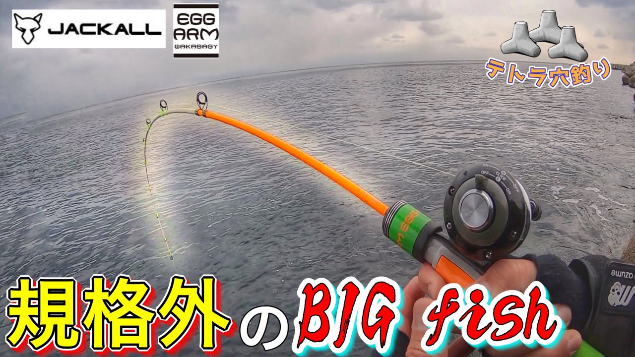 穴釣り】まさかの大物を穴から引きずり出す!! ジャッカル エッグアーム