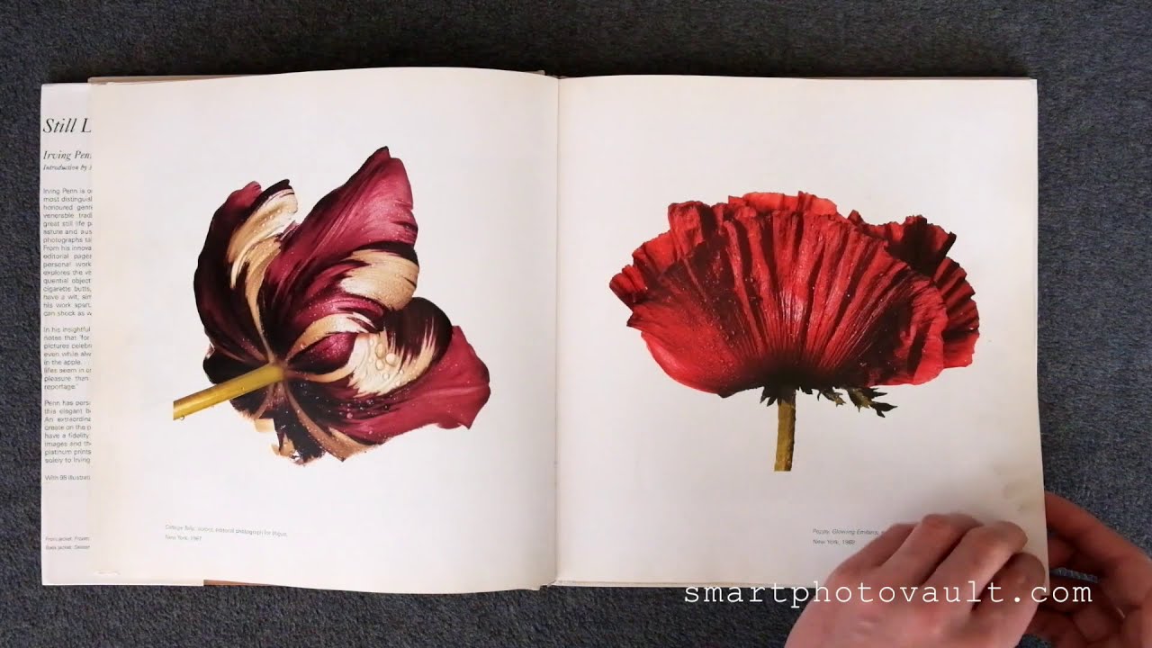 アート・デザイン・音楽 Irving Penn Still Life アート・デザイン
