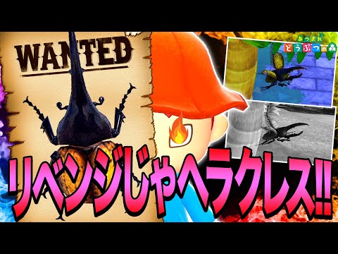 Animal Crossing] Catching Horned Hercules Beetles! A Story of How