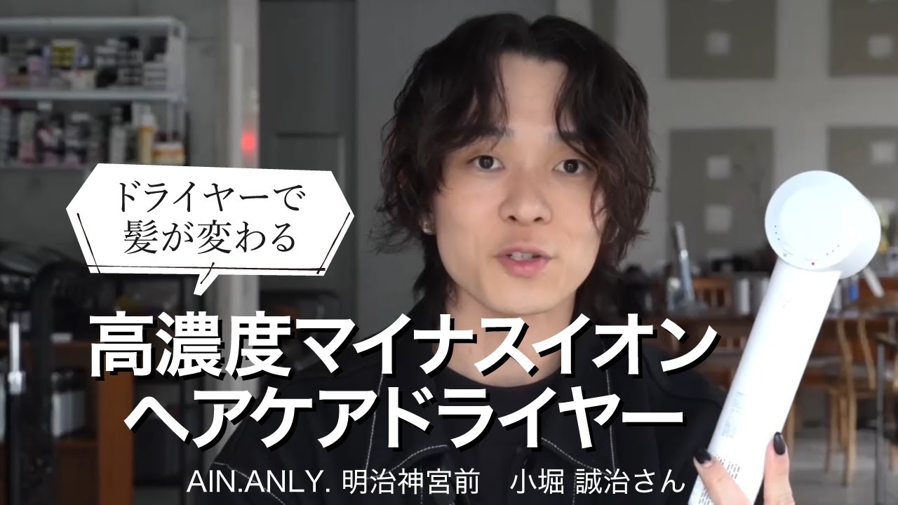 美容師さんおすすめ【ニトリの高濃度マイナスイオンヘアケアドライヤー