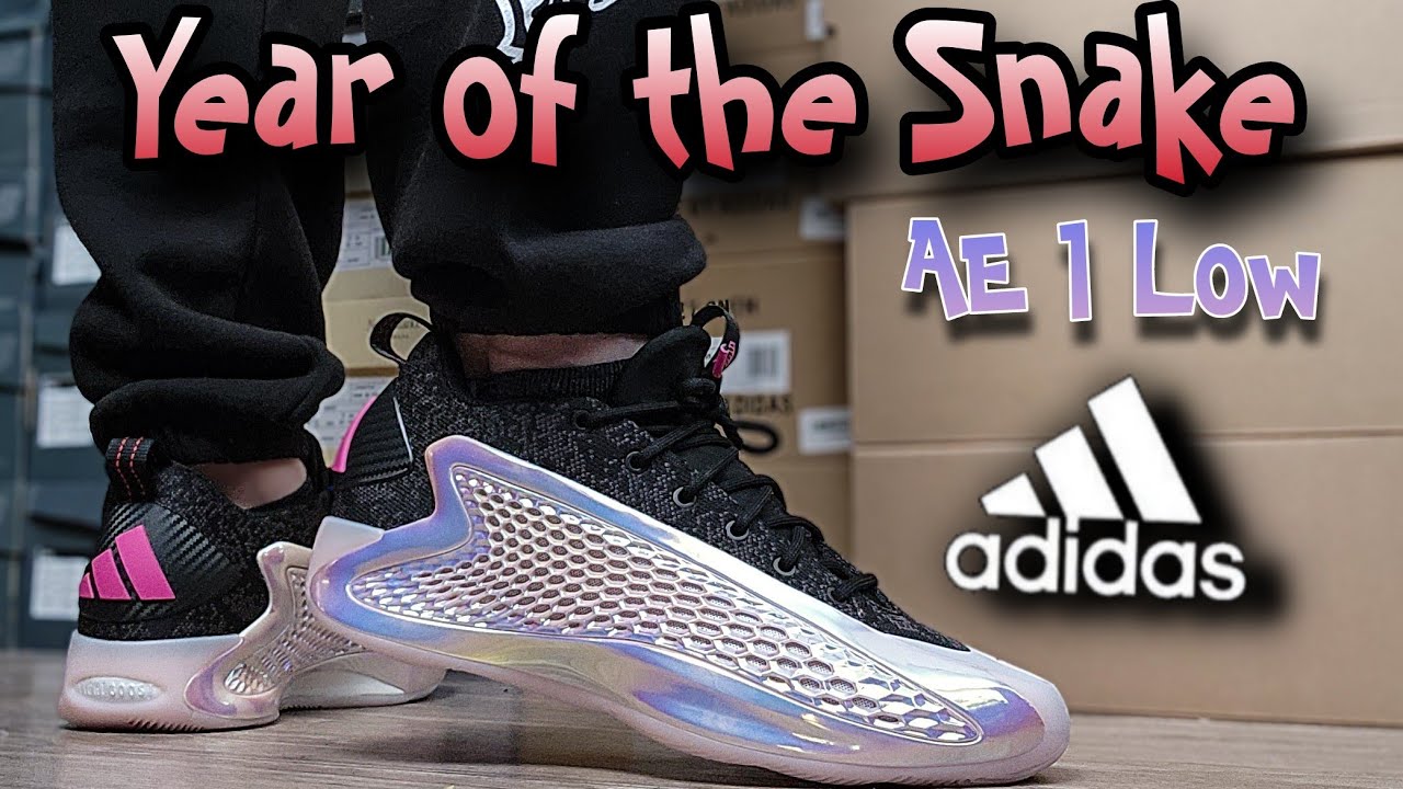 Adidas AE 1 Low 'Year of the Snake' Sneaker Review & On Feet