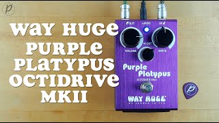 Way Huge Purple Platypus Octidrive MkII - YouTube