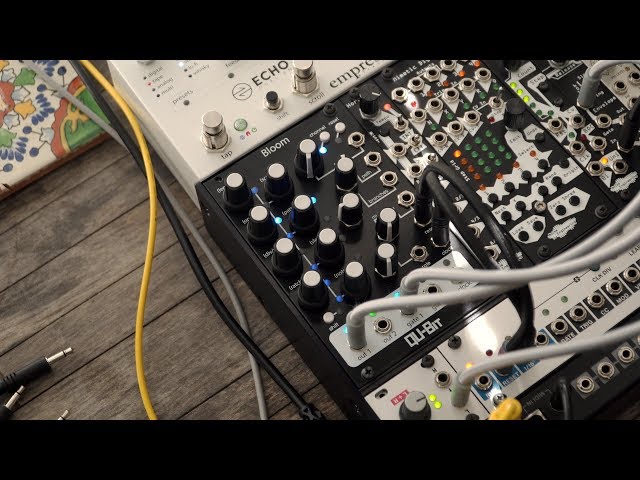 A Fractal Eurorack Sequencer? // QuBit Bloom Overview - YouTube