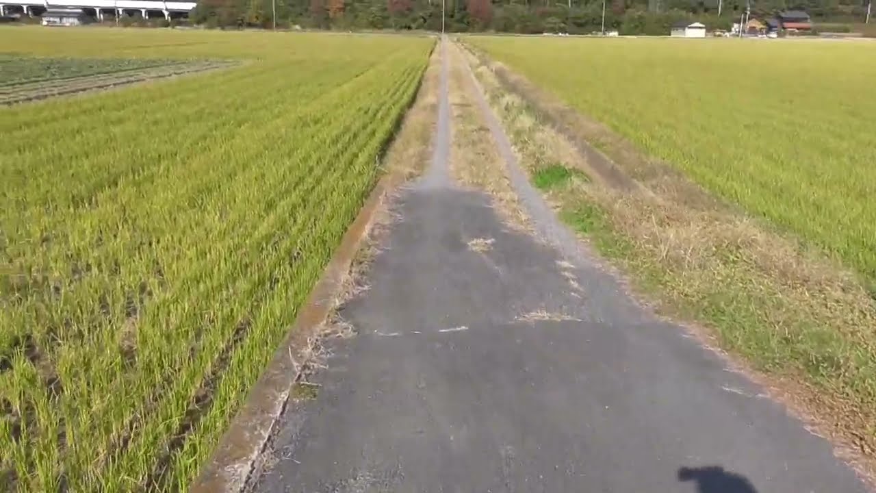 見上げれば鏡山、振り返れば山田たえ #ゾンビランドサガ #聖地巡礼