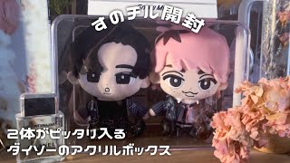 BIGすのチルが届いたので開封·͜·ᰔᩚダイソーで収納ケースも見つけまし