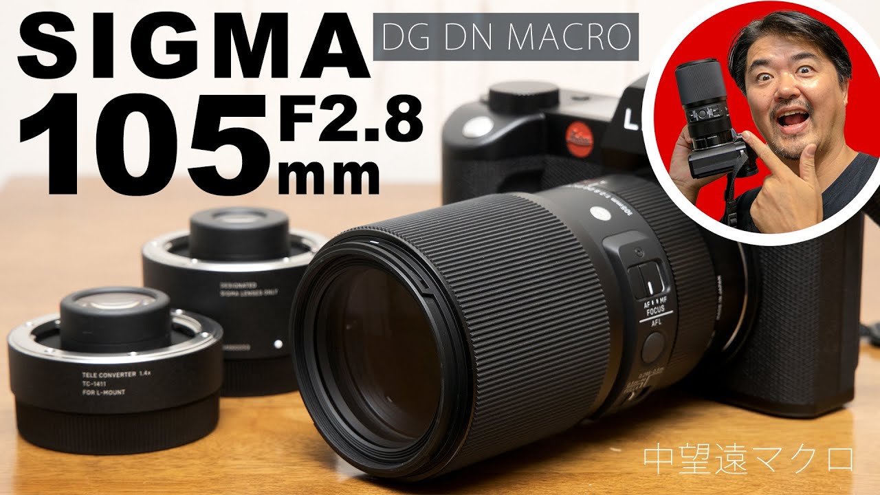SIGMA 105mm F2.8 DG DN MACRO | Art: A must-have mid-telephoto