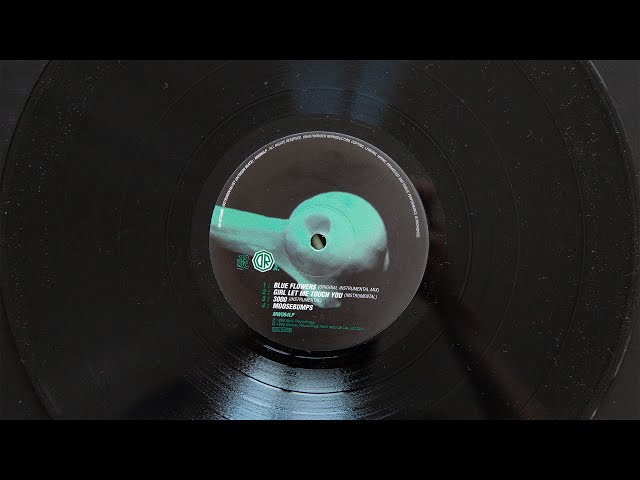 Dr. Octagon MOOSEBUMPS レコード MOOSEBUMPS: AN EXPLORATION INTO