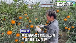 High-quality mandarin oranges, 