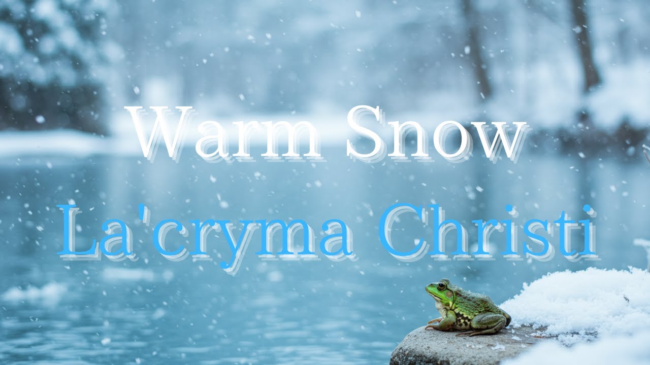 La'cryma Christi ／ Sweet lil' devil - YouTube