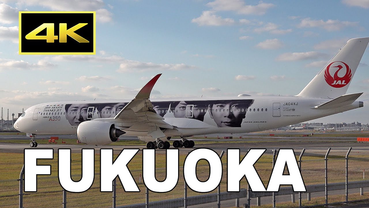 レア 特大 リアル JAL 日本航空 A350 嵐 20th ジェット1/200 レア 特大