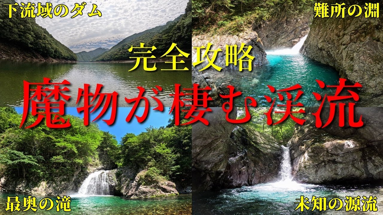 渓流釣り場 完全攻略マニュアル Amazon.co.jp: 全国版 渓流釣り場完全