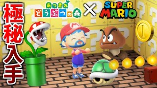 あつ森】スーパーマリオの家具をアップデート前に極秘入手!!マリオ風な