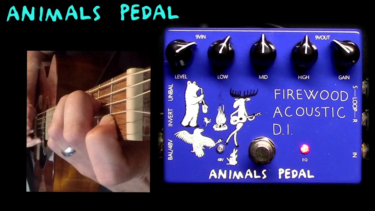 Animals Pedal Firewood Acoustic DI - YouTube