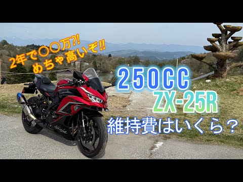 Is it true that maintenance costs are XX million yen in 2 years