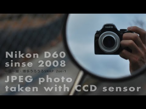 Nikon D60特集 第3弾・JPEG撮って出し縛りでCCDセンサーの特徴を味わい