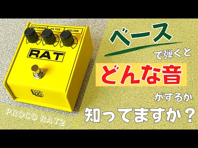 ベースでもカッコ良い歪み！】PROCO ( プロコ ) / RAT2（ラット2