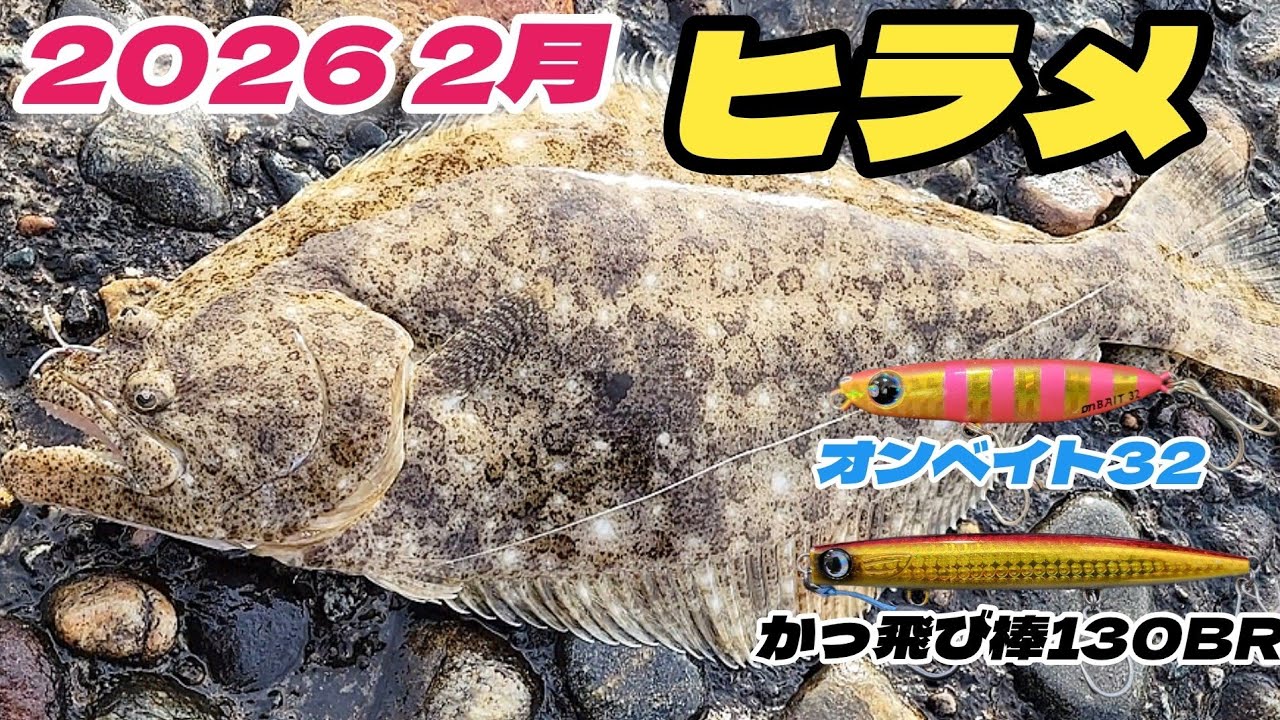 2月上旬【ヒラメ】3度目のアタリでヒット！ - YouTube