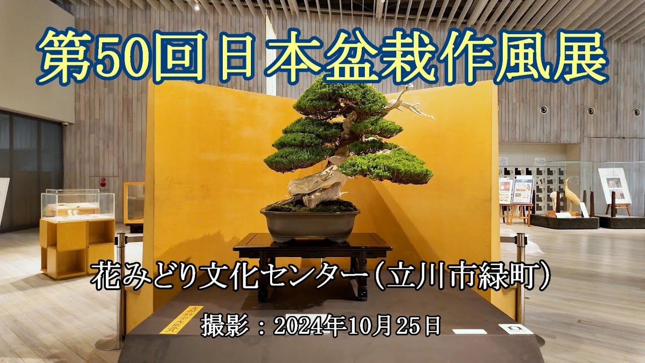 第50回日本盆栽作風展 = 国営昭和記念公園 = [4K] The 50th Japan