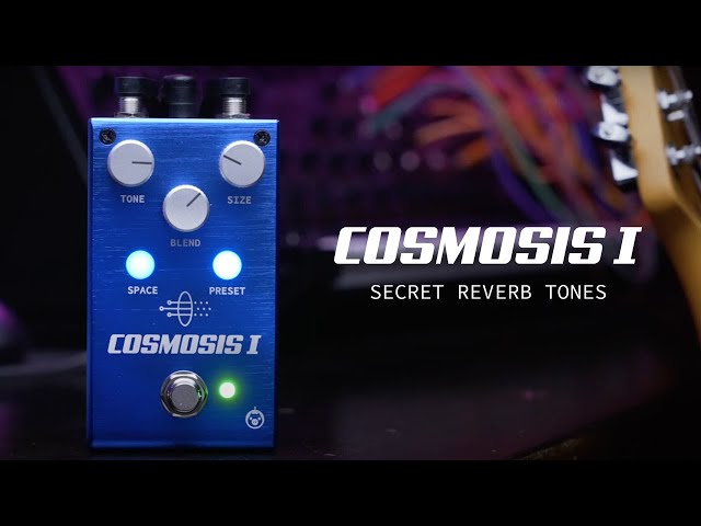5 Unique Reverb Settings On Cosmosis 1 | Pigtronix - YouTube