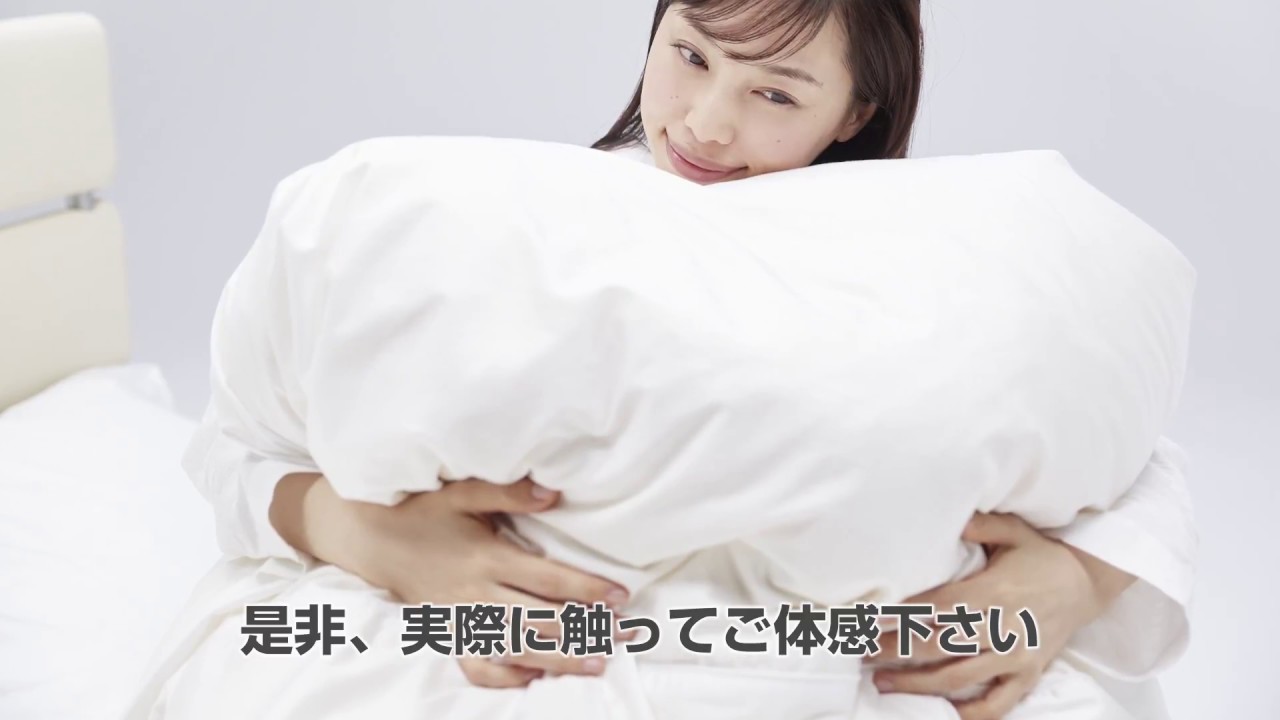 羽毛布団「ダウナ Nレギュラー」全4サイズ サービスカバー付き