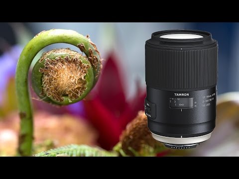 Tamron SP 90mm MACRO f2.8 Di VC USD - YouTube