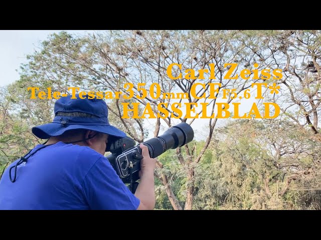 En : Carl Zeiss Tele -Tessar CF 350mm F5.6 T* lens, The