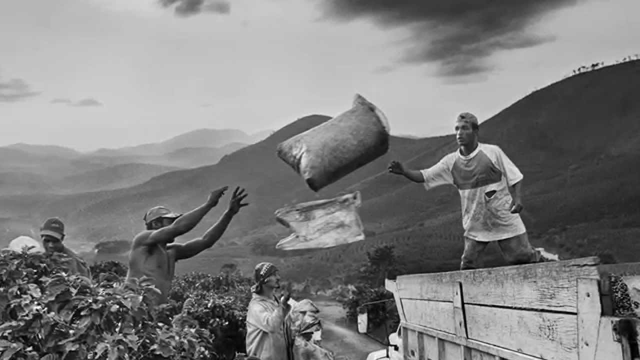 Scent of a Dream. Sebastião Salgado and illycaffè: people and