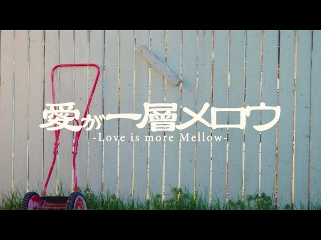 離婚伝説 – 愛が一層メロウ (Official Music Video) - YouTube