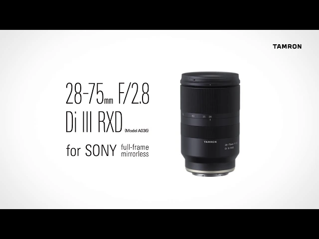 Tamron 28-75mm f/2.8 Di III RXD Lens for Sony E Mount - Adorama