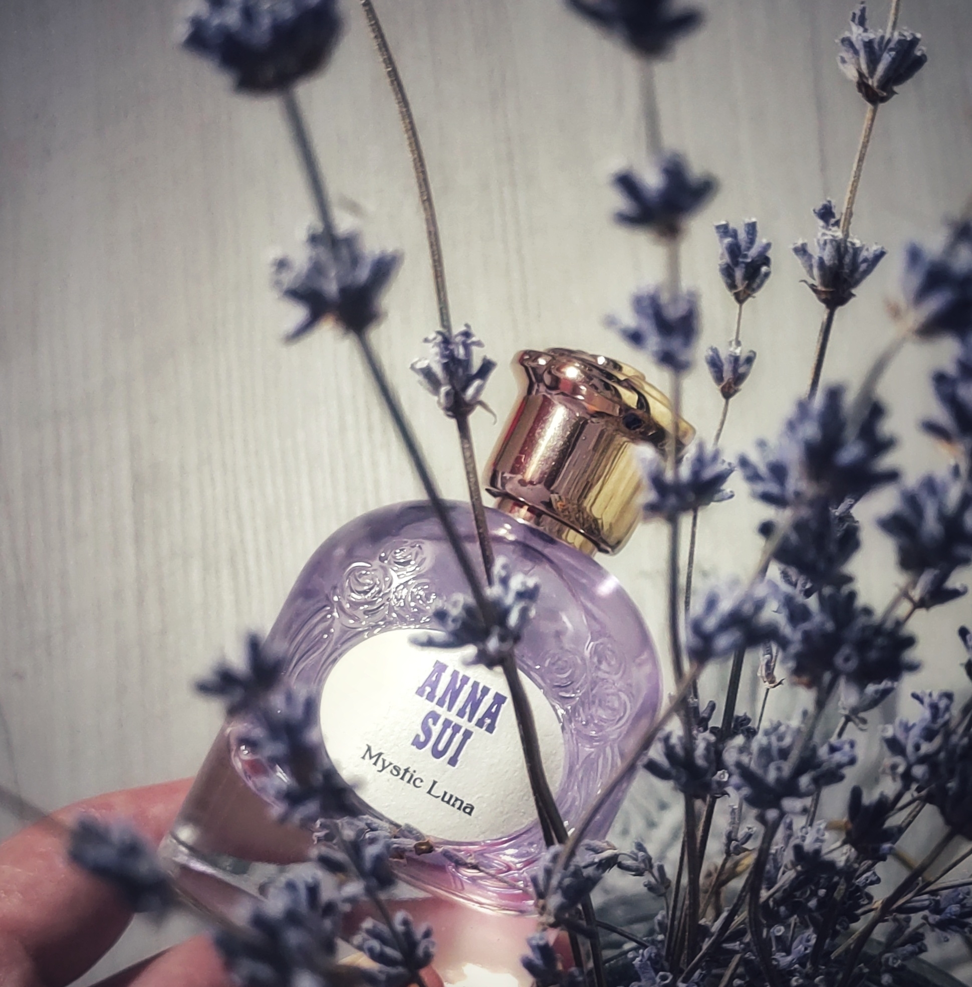 収*火様 ANNA SUI Mystic Luna 50ml Wild Wonder Collection Mystic