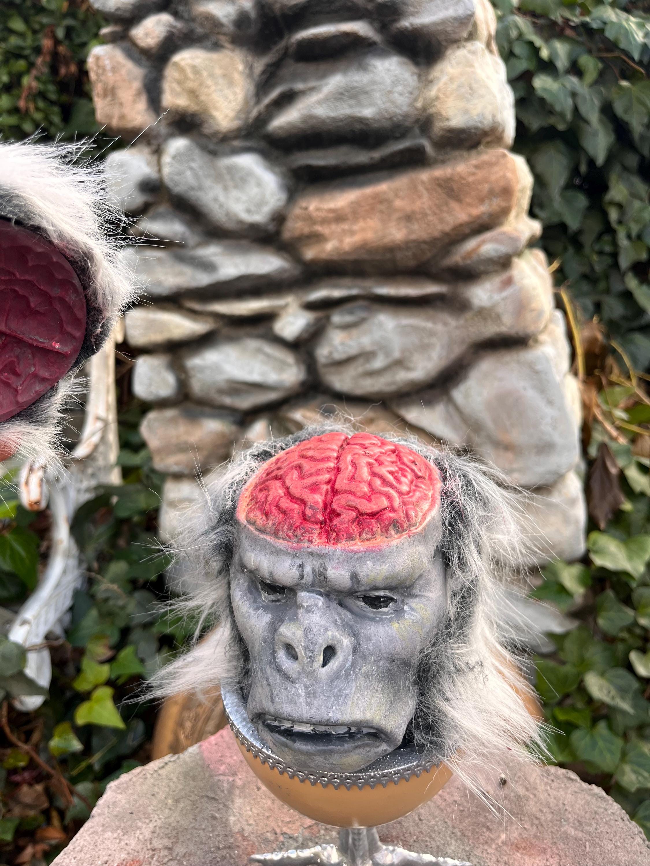 Indiana Jones Temple of Doom Chill Monkey Brain - Etsy