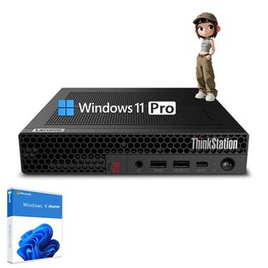 Lenovo P340 Tiny | eBay