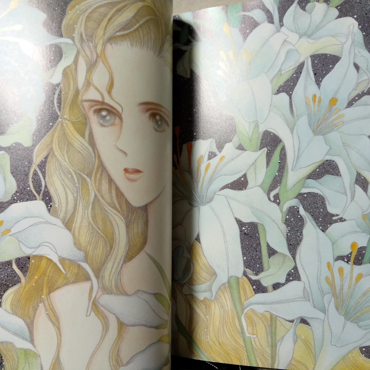 Reiko Shimizu Illustrations ARIA Art Book JAPAN Used | eBay