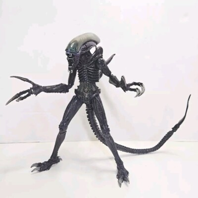 Alien vs Predator - 7