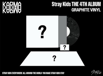 Stray Kids KARMA GRAPHITE VINYL Stray Kids Shop Exclusive SHIPS