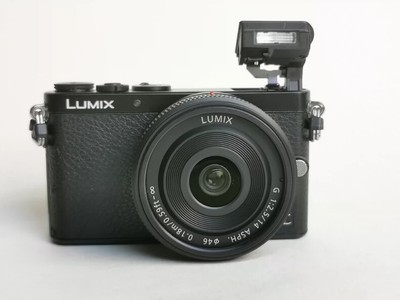 Mint] Panasonic LUMIX DMC-GM1 Black Digital Camera English