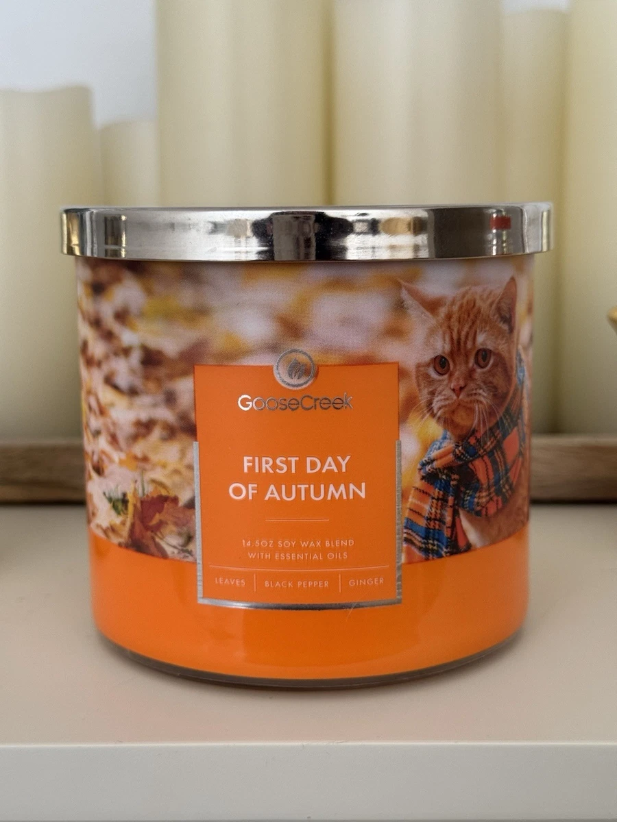 Goose Creek Candle Co. Scented Candles for sale - eBay