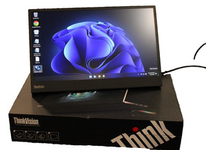 Lenovo Thinkvision M14 | eBay