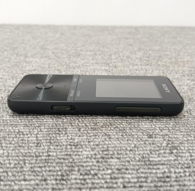 Sony Walkman NW-S315 16Gb Black Very Good | eBay