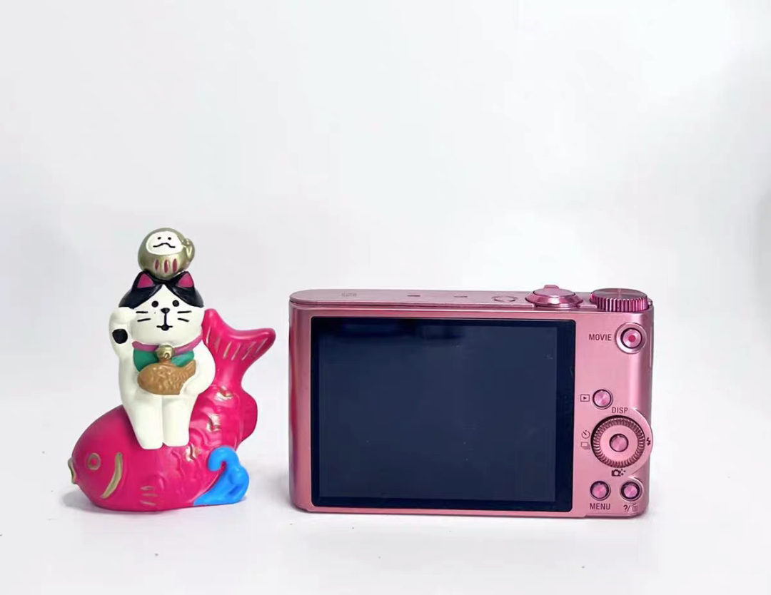 Sony Cyber-shot DSC-WX350 Pink 18.2MP 20x Compact Camera-90%new | eBay