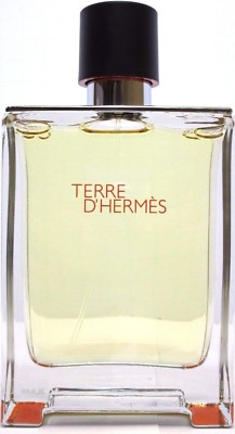HERMES TERRE D'HERMES Eau De Toilette Spray FOR MEN 3.3 Oz / 100