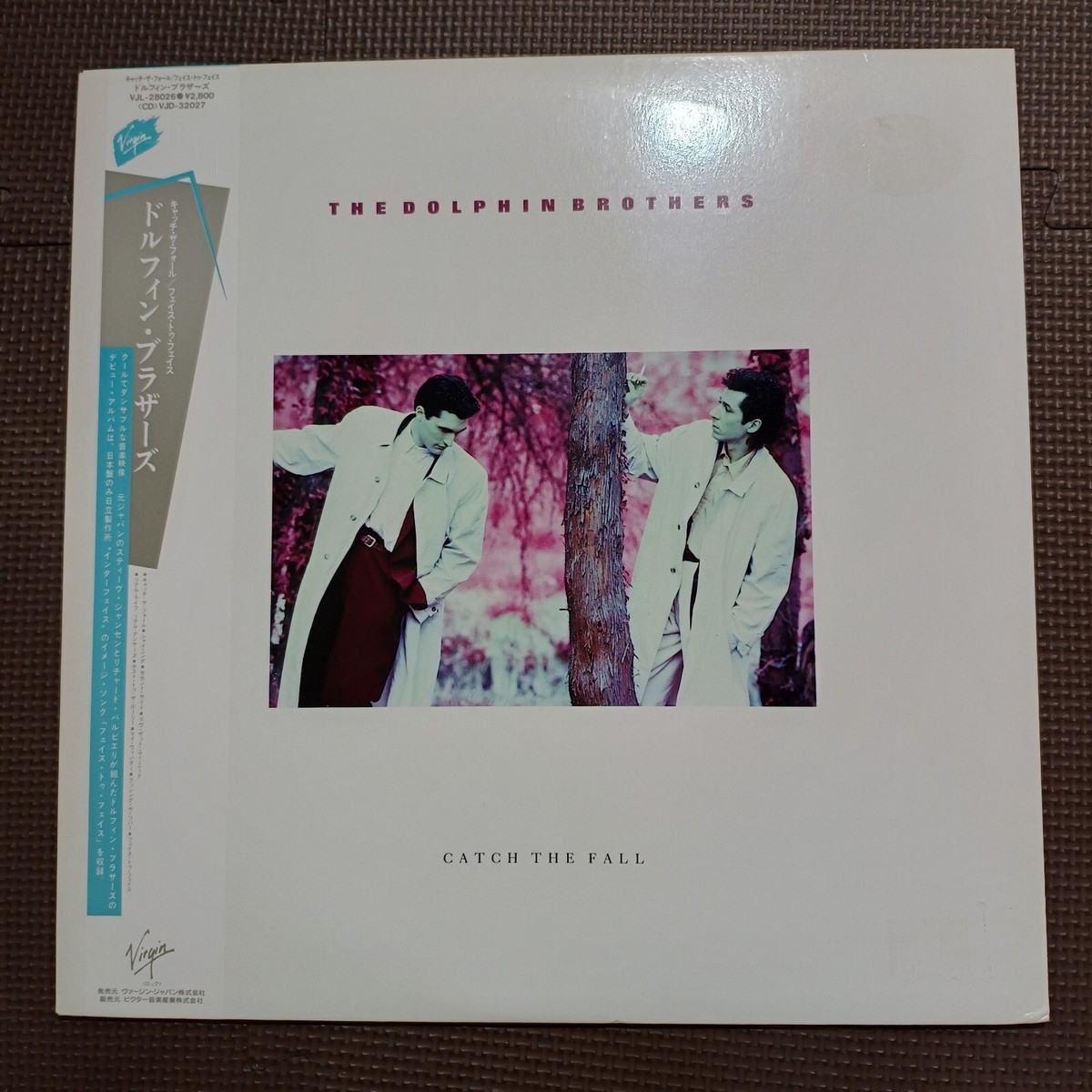 THE DOLPHIN BROTHERS-CATCH THE FALL VJL-28026 JAPAN REISSUE 1LP
