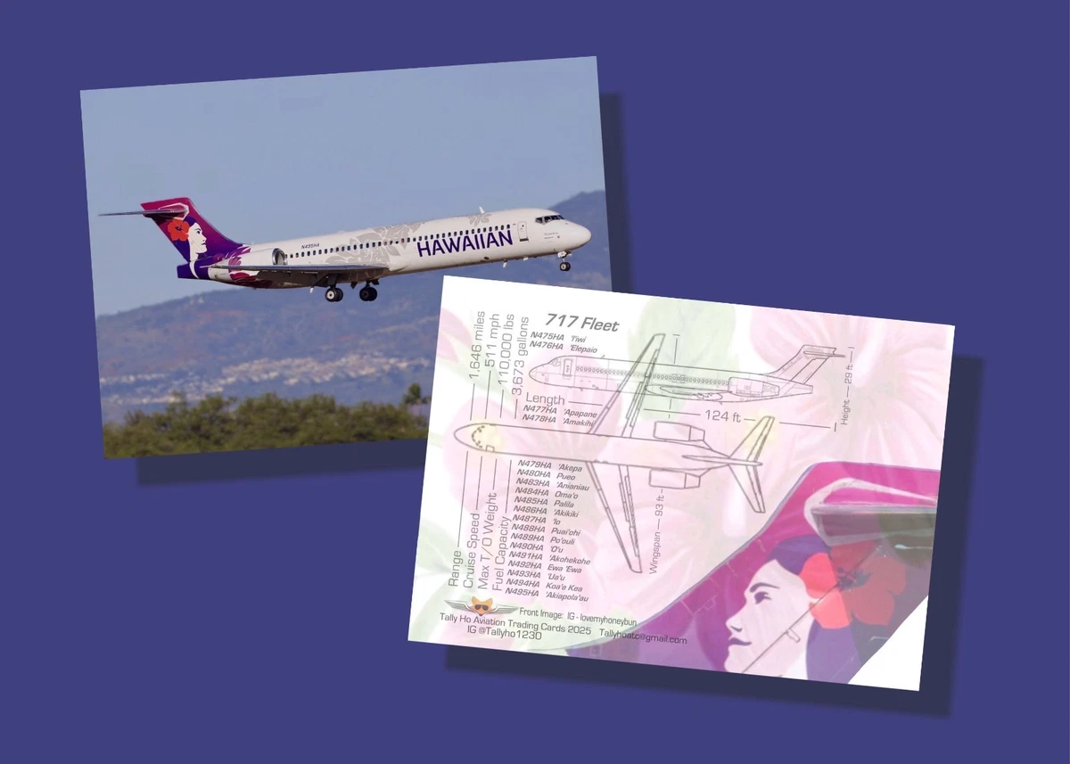 American Airlines Collectibles for sale | eBay