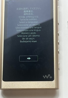 Sony Walkman NW-A55 Hi-Reso gold Multilingual OK (JP Model) | eBay