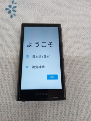 Sony NW-A307 Black 64GB Hi-Res Walkman Audio Player used japan | eBay