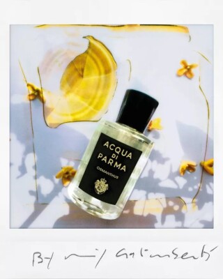 Collectible] ACQUA DI PARMA Osmanthus Eau De Parfum 6 fl OZ (180ML